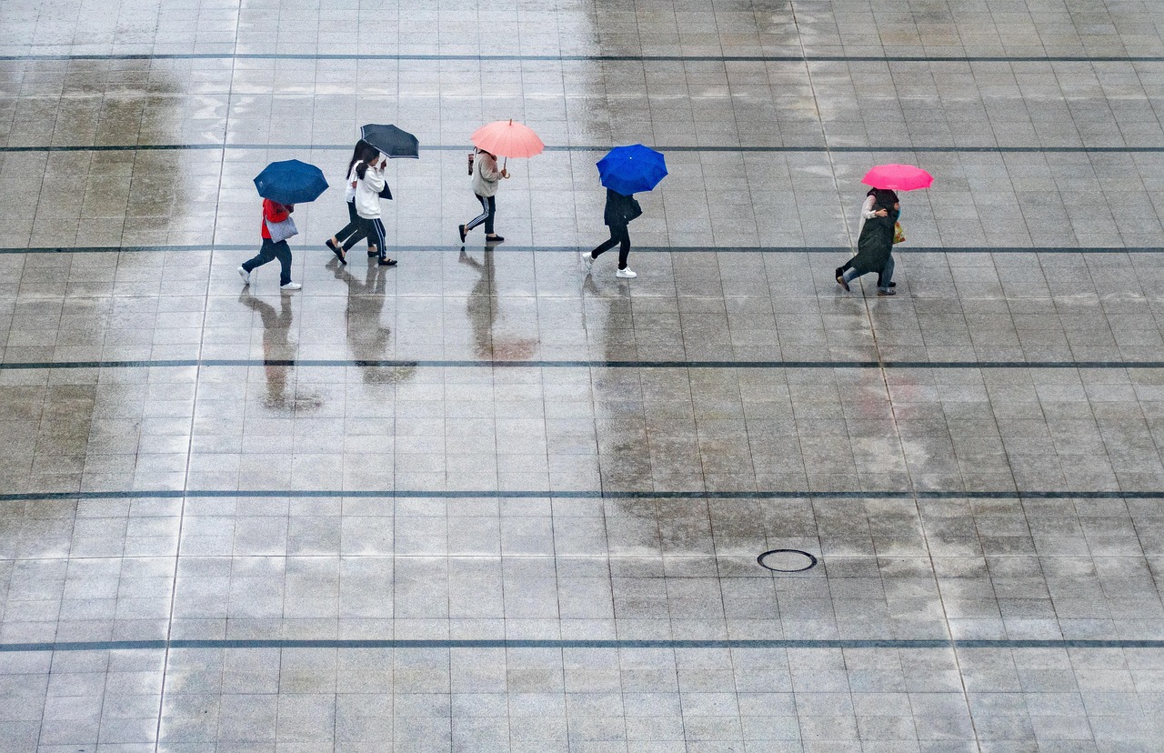 rain, people, umbrellas, wet, nature, weather, thunderstorm
